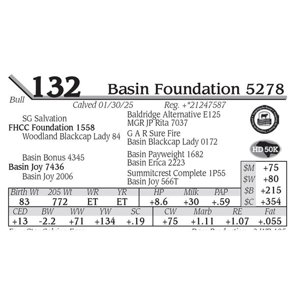 Basin Foundation 5278