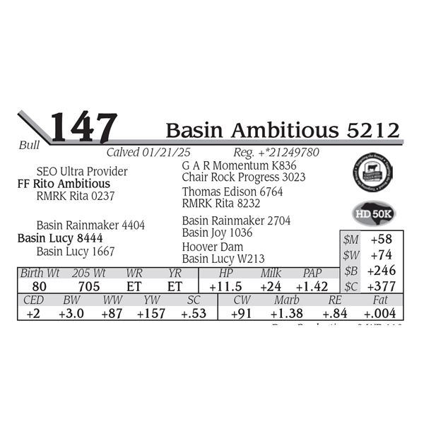 Basin Ambitious 5212