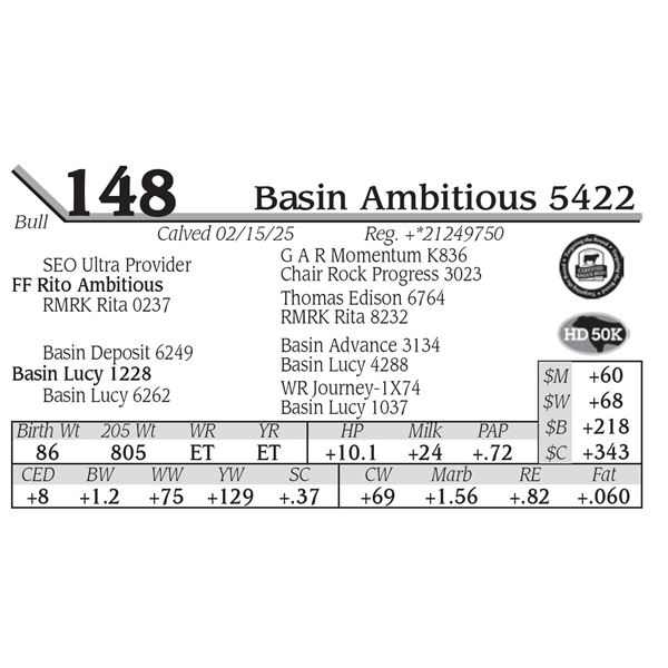 Basin Ambitious 5422