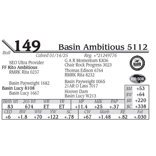Basin Ambitious 5112