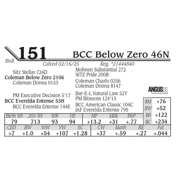 BCC Below Zero 46N