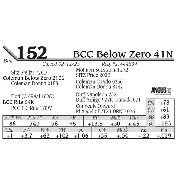 BCC Below Zero 41N