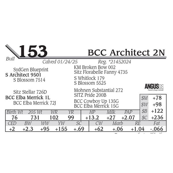 BCC Architect 2N