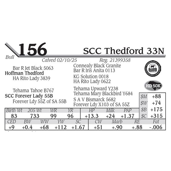 SCC Thedford 33N