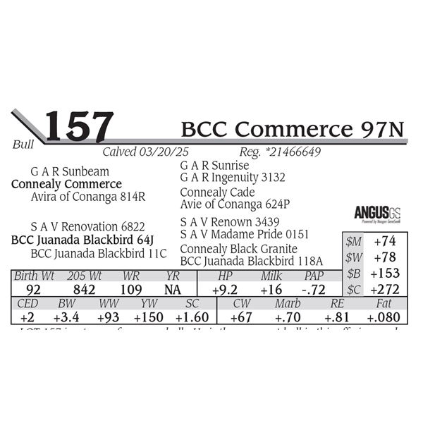 BCC Commerce 97N