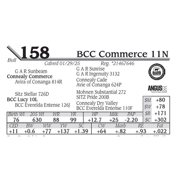 BCC Commerce 11N