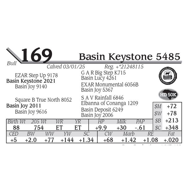 Basin Keystone 5485