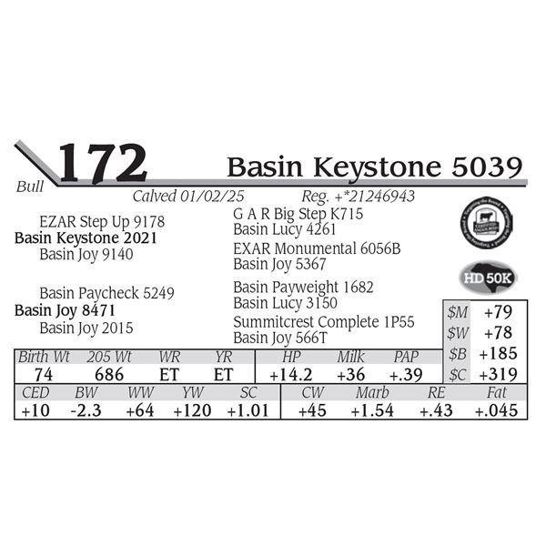 Basin Keystone 5039