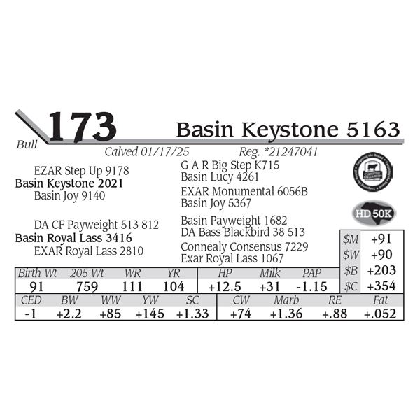 Basin Keystone 5163