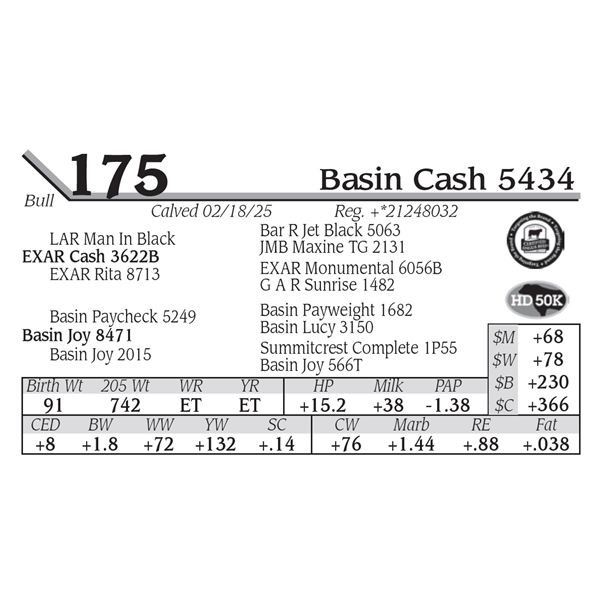 Basin Cash 5434