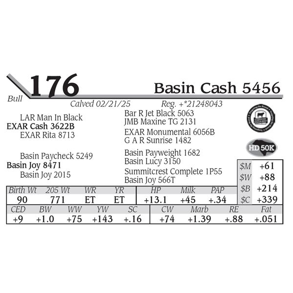 Basin Cash 5456