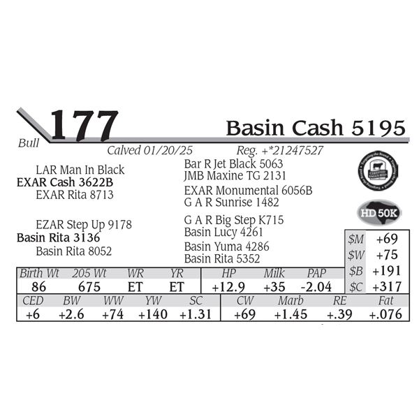 Basin Cash 5195