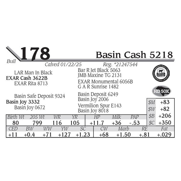 Basin Cash 5218