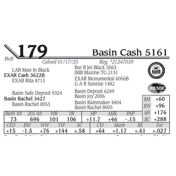 Basin Cash 5161