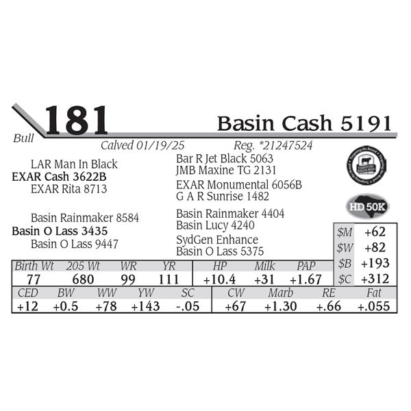 Basin Cash 5191