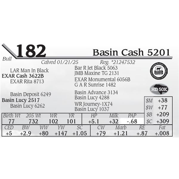 Basin Cash 5201