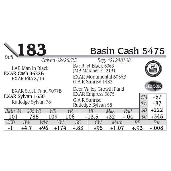 Basin Cash 5475