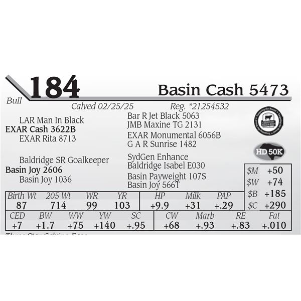 Basin Cash 5473