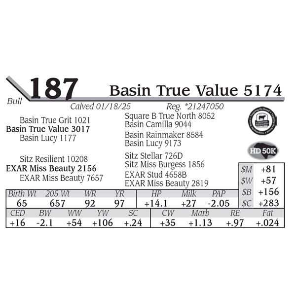 Basin True Value 5174
