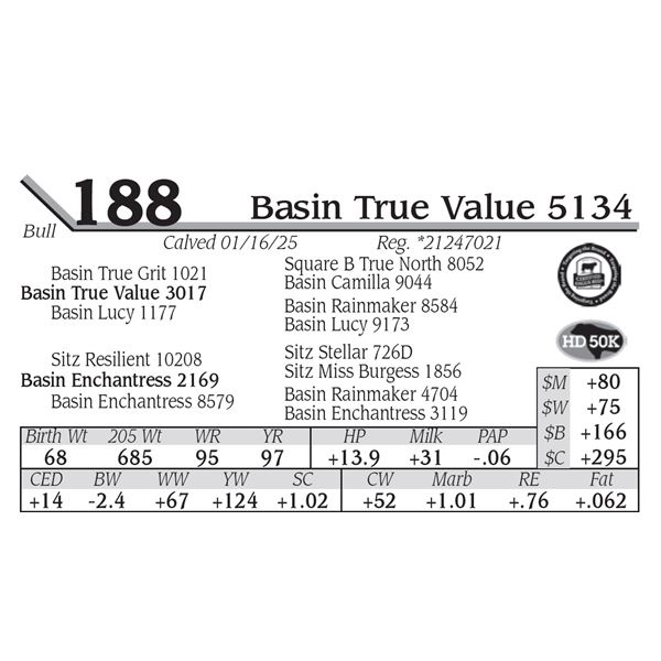 Basin True Value 5134