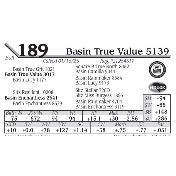 Basin True Value 5139