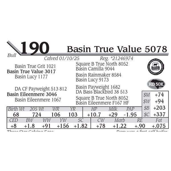 Basin True Value 5078