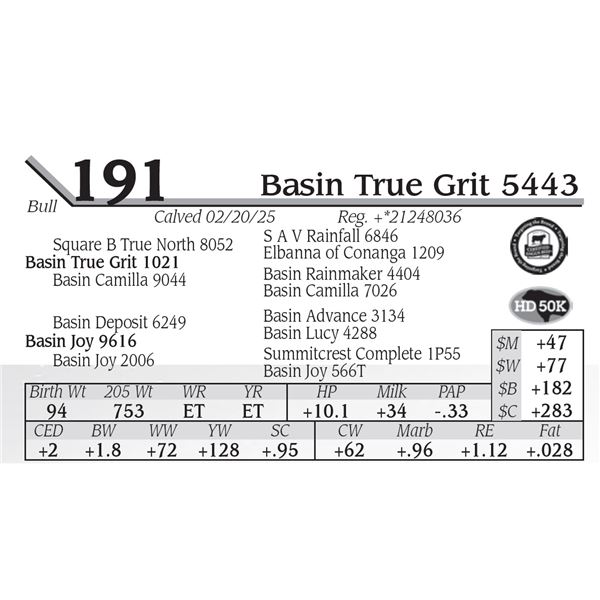 Basin True Grit 5443