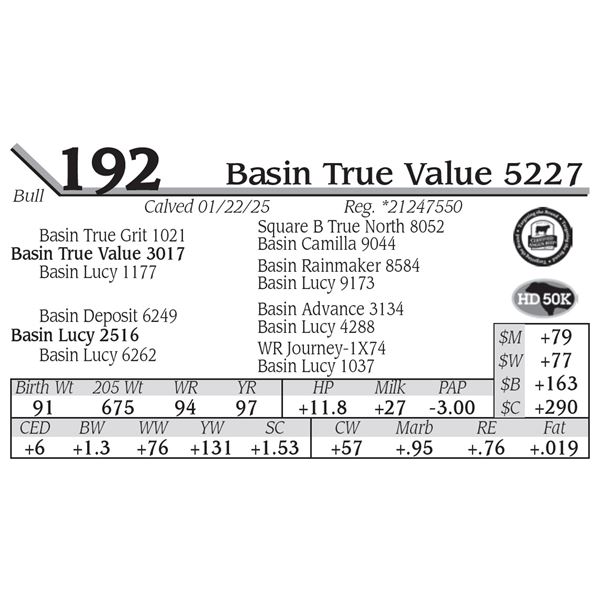 Basin True Value 5227