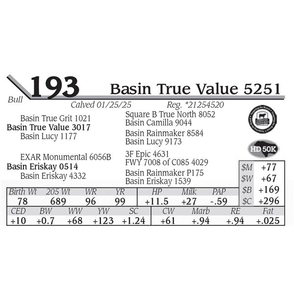 Basin True Value 5251