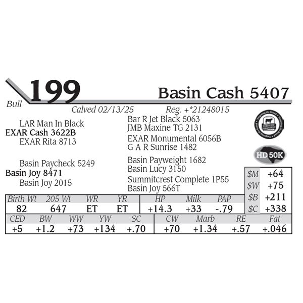 Basin Cash 5407