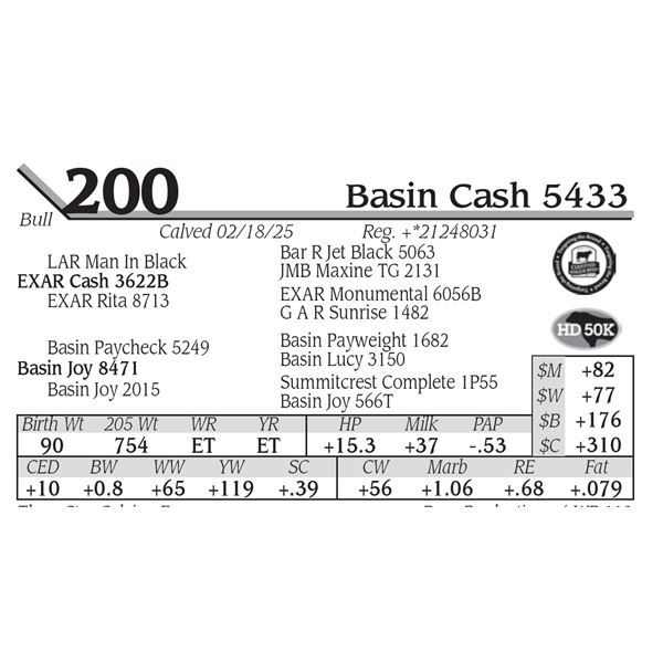 Basin Cash 5433