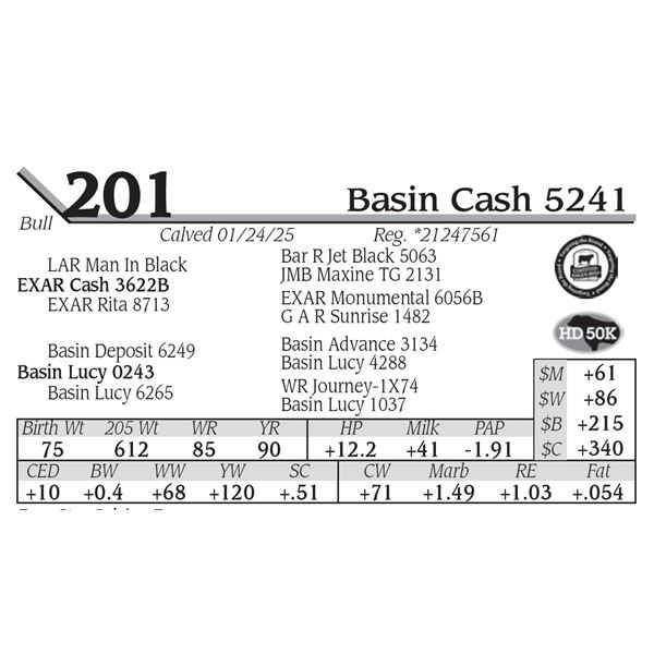 Basin Cash 5241
