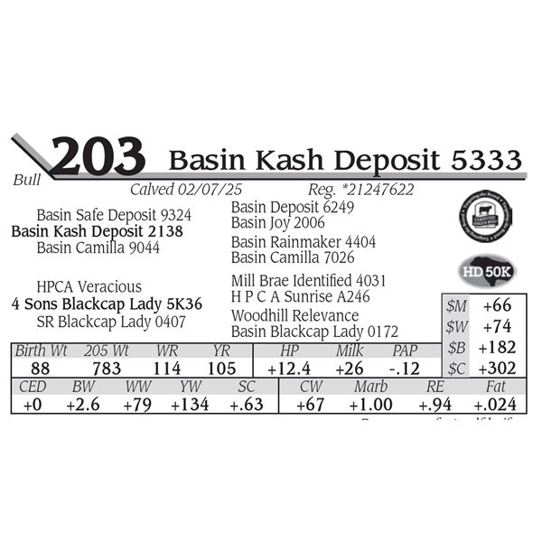 Basin Kash Deposit 5333