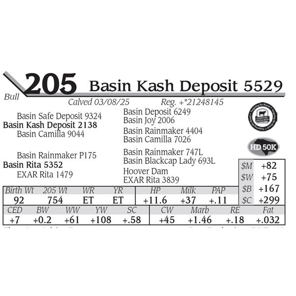 Basin Kash Deposit 5529