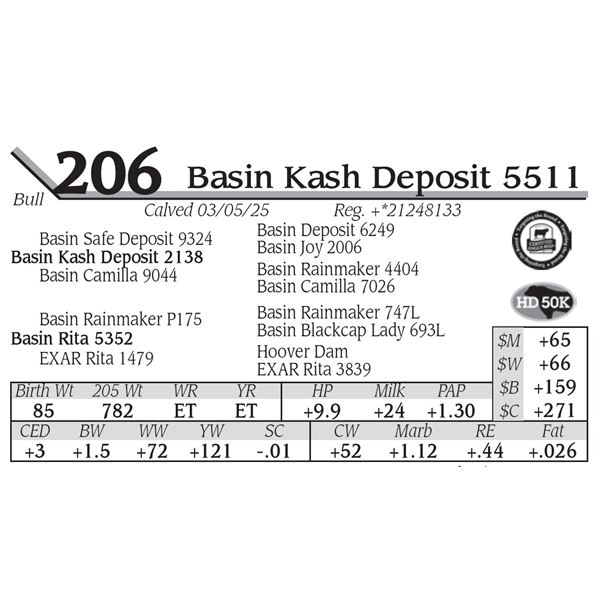 Basin Kash Deposit 5511