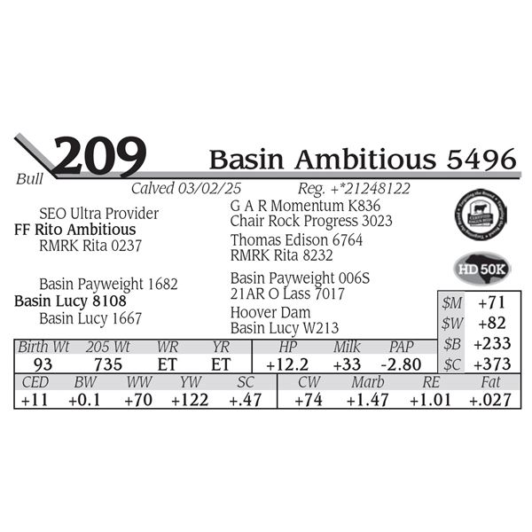 Basin Ambitious 5496
