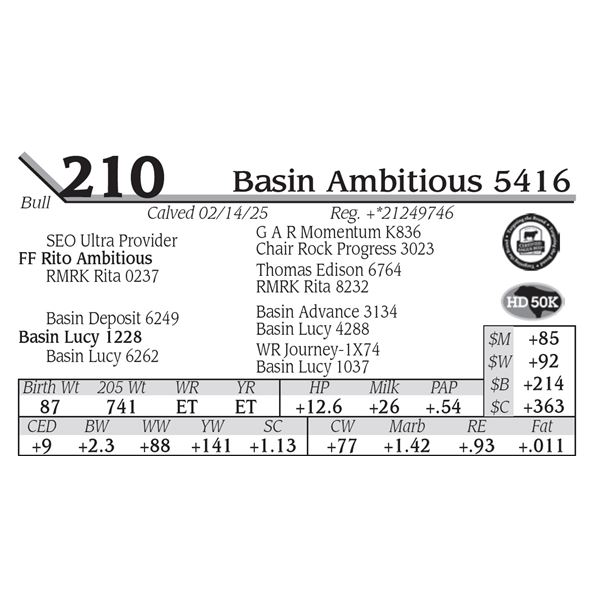 Basin Ambitious 5416