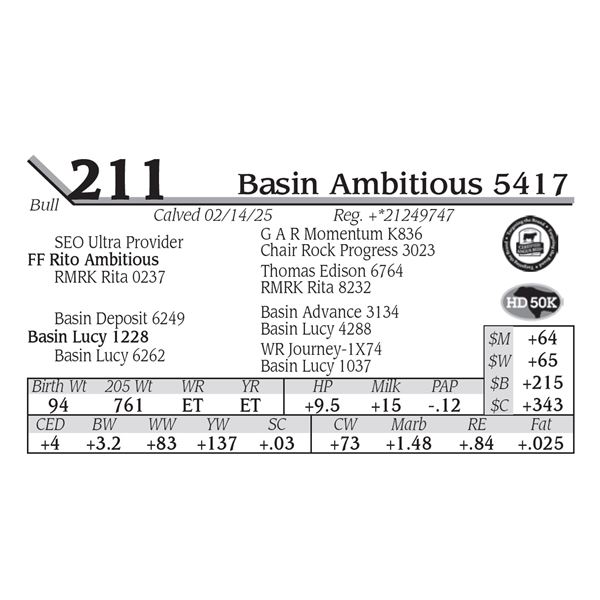 Basin Ambitious 5417