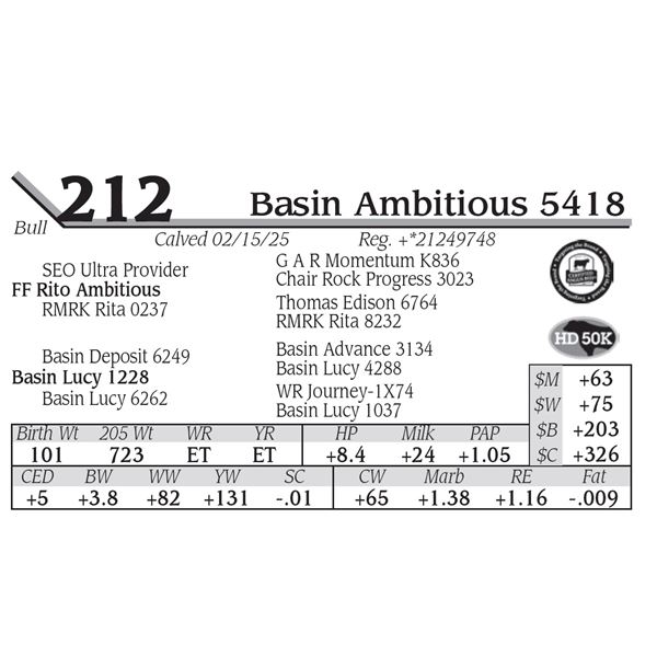 Basin Ambitious 5418