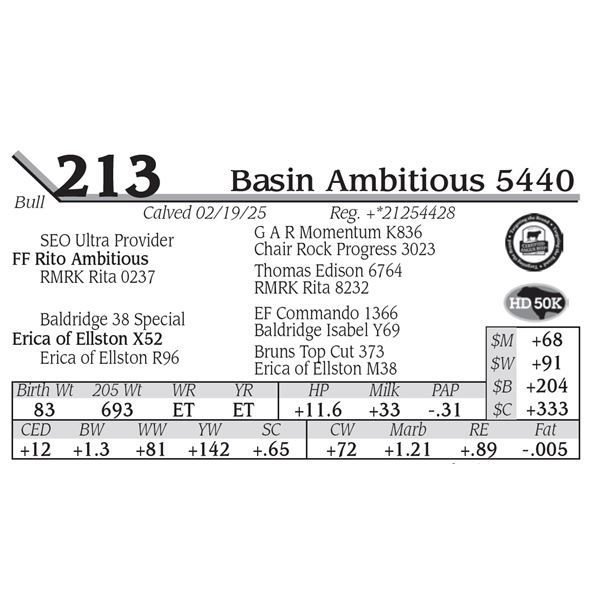 Basin Ambitious 5440