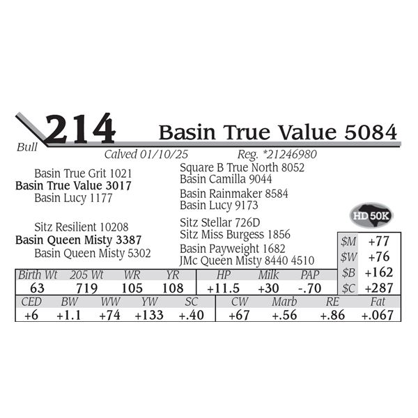 Basin True Value 5084