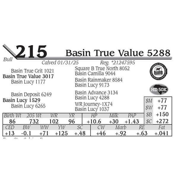 Basin True Value 5288