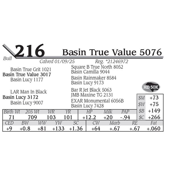 Basin True Value 5076