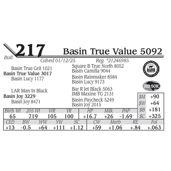 Basin True Value 5092