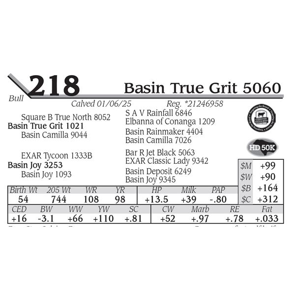 Basin True Grit 5060