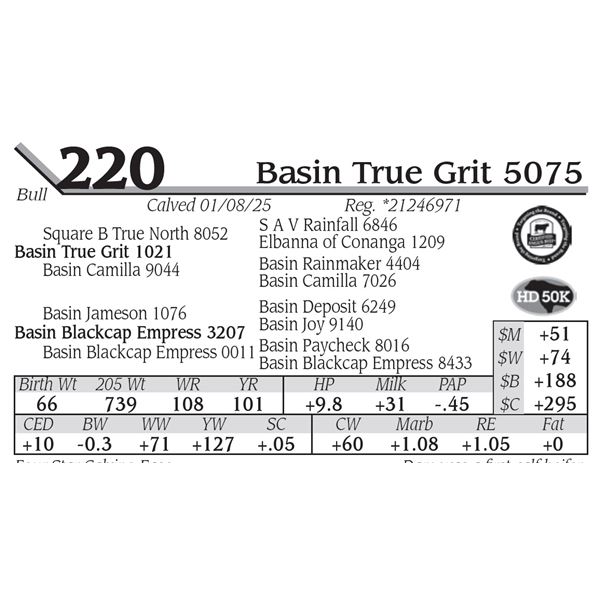 Basin True Grit 5075
