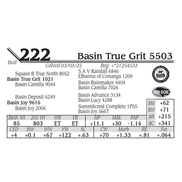 Basin True Grit 5503