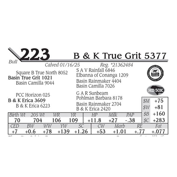 B & K True Grit 5377