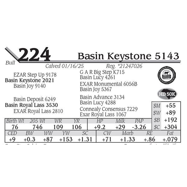 Basin Keystone 5143