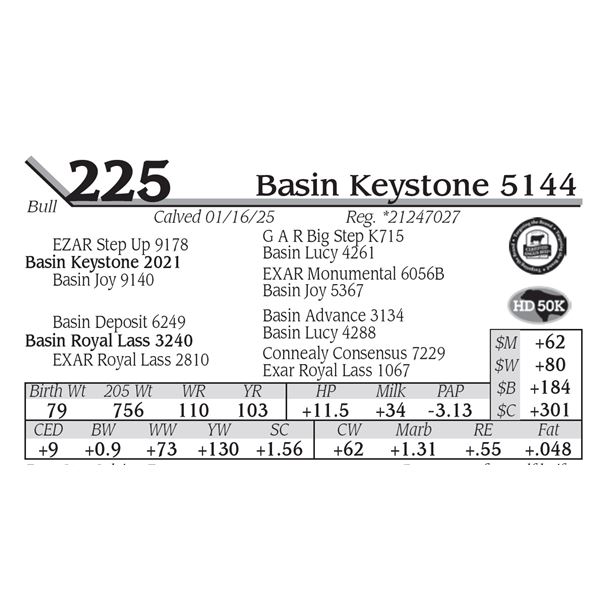 Basin Keystone 5144